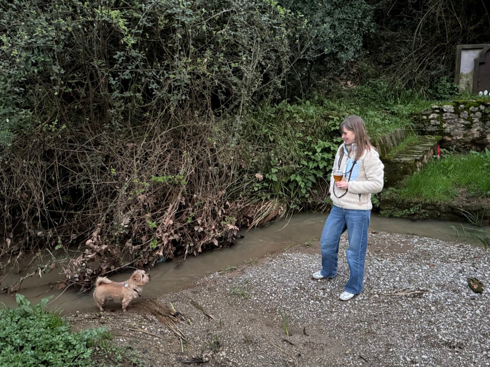 Spanien - Vilademuls - 