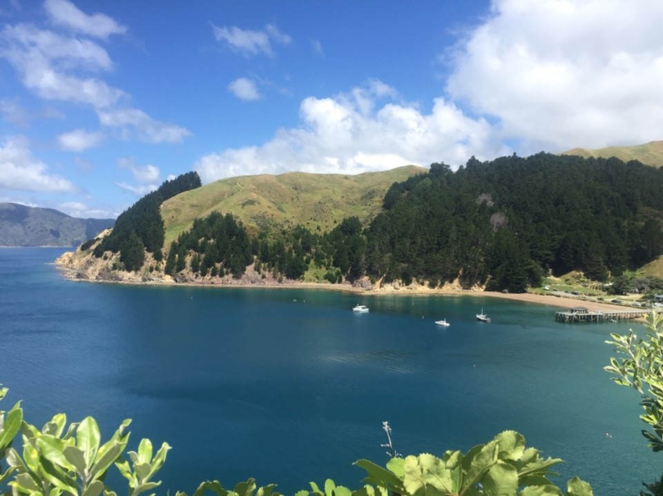 Neuseeland - French Pass - 
