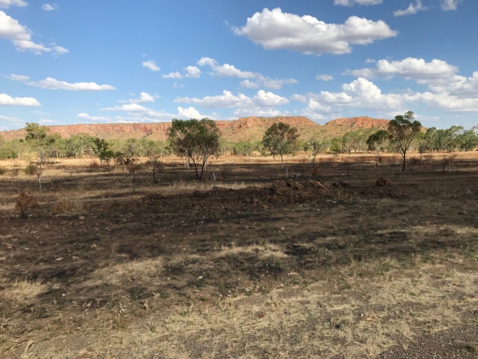 Australien - Fitzroy Crossing - So sieht die Landschaft aus durch die wir heute gefahren sind