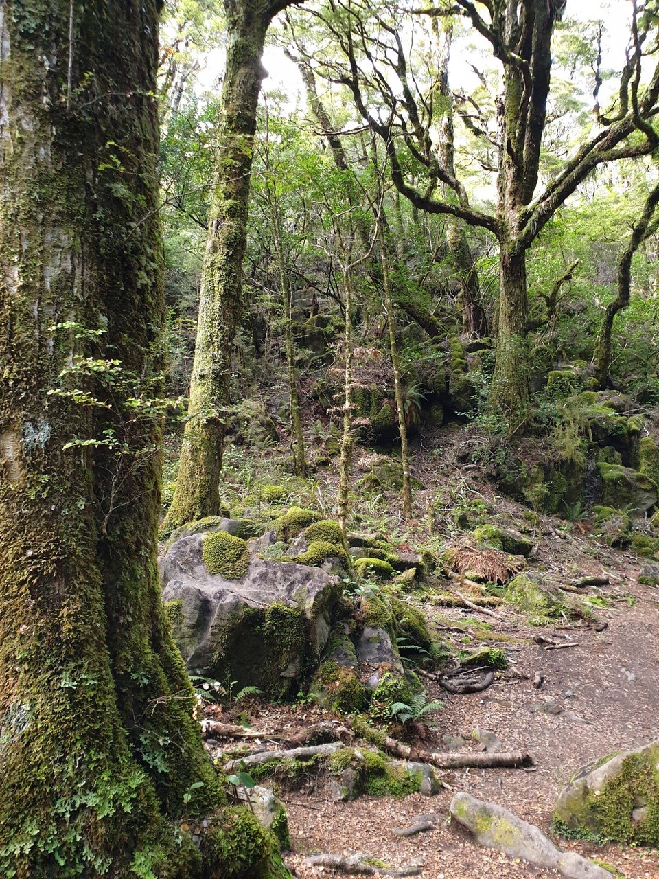 Neuseeland - Mapua - 