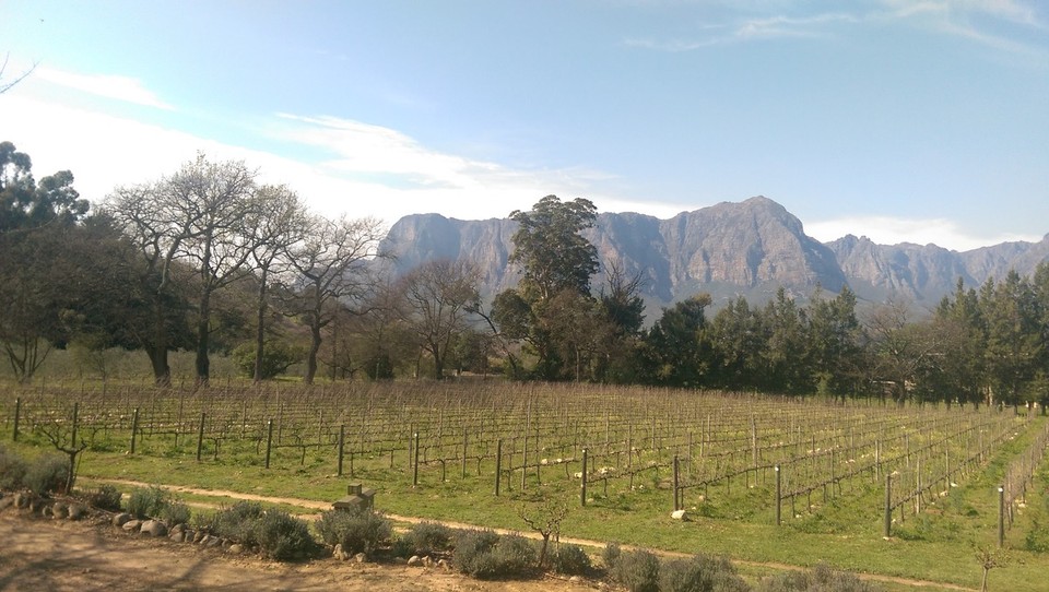 Südafrika - Stellenbosch - 