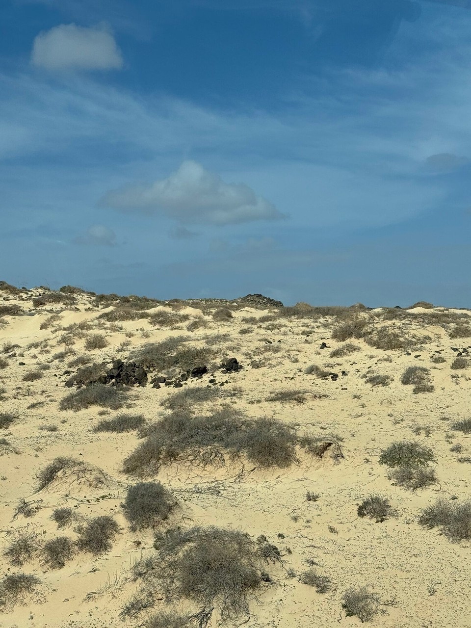 Spanien - Puerto del Rosario - … dann die Dünenlandschaft 