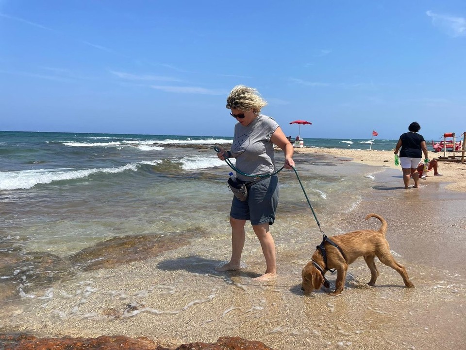 Italien - Alberobello - 