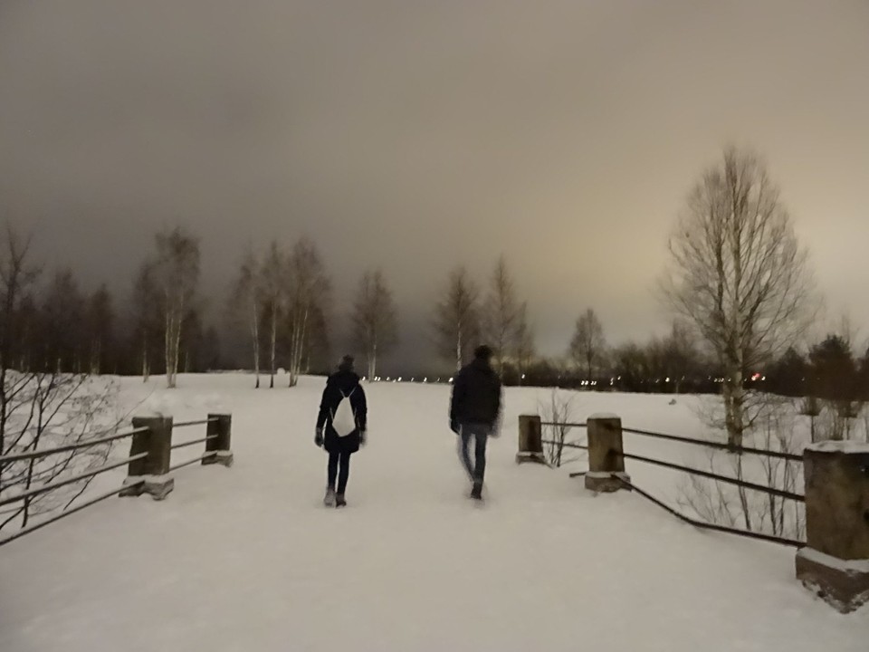 Finnland - Rovaniemi - 