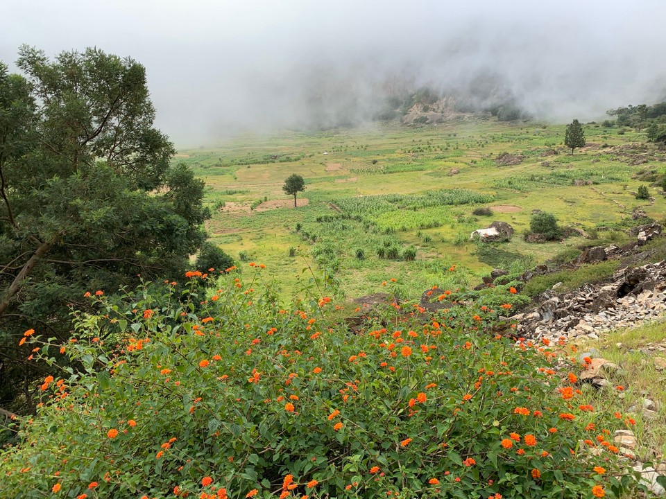Cap-Vert -  - Vue sur le fond du cratère 