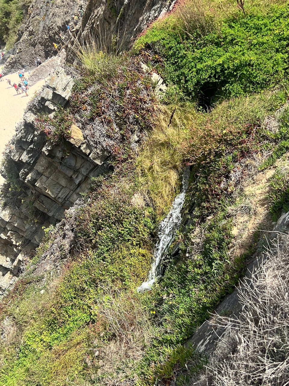 Portugal - São Teotónio - 