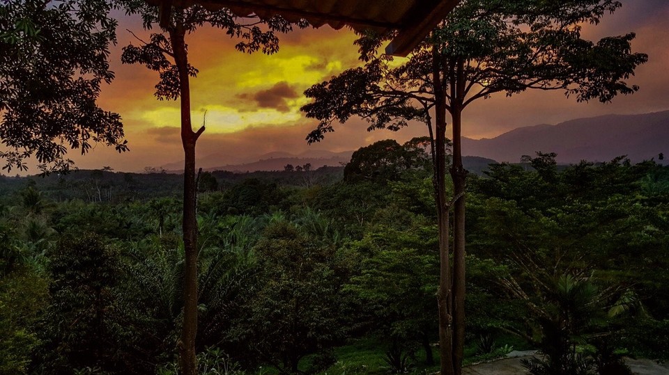 Thailand - Amphoe Chaiya - Gestern Abend im Chongko Farmstay
Photo by G. Fiegl
Pimped by O. Baier 