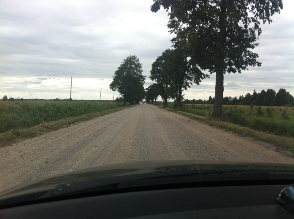 Lithuania - Ventė - Schotterpiste im Memeldelta,..., am meisten frequentiert von Füchsen und Storchen, ab und zu mal ein Auto.
