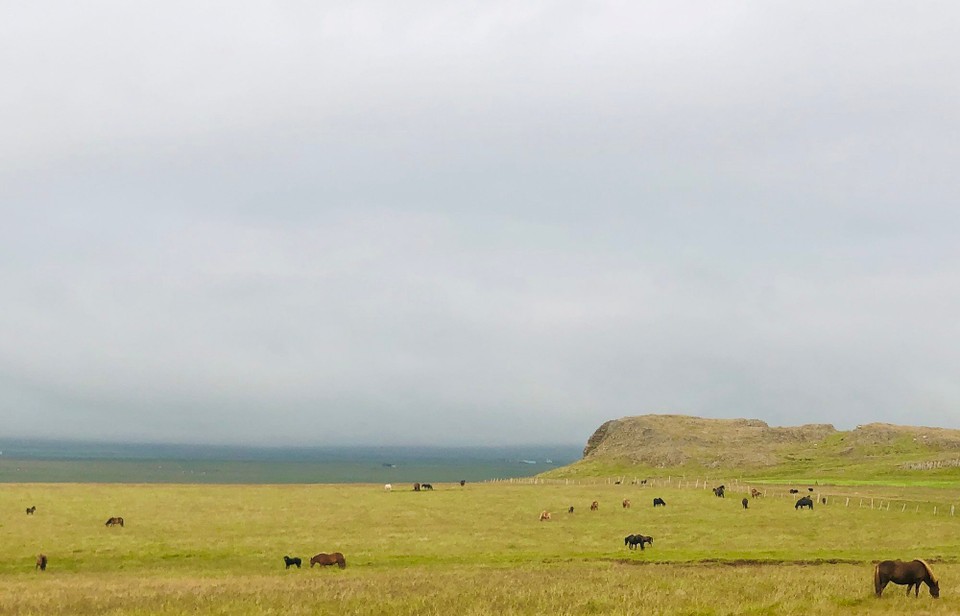 Island - Húnaþing vestra - 😍