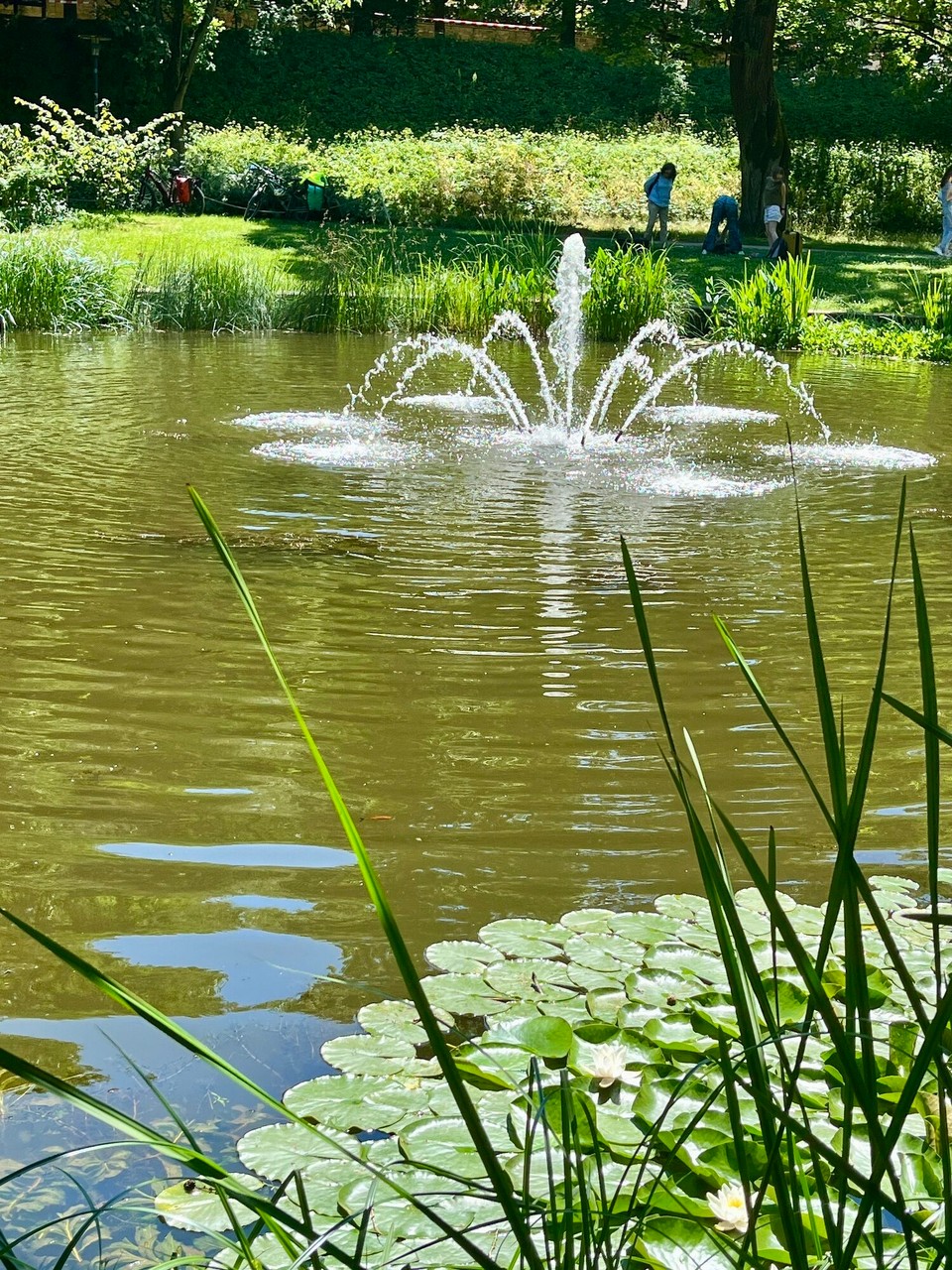 Deutschland - Fulda - 