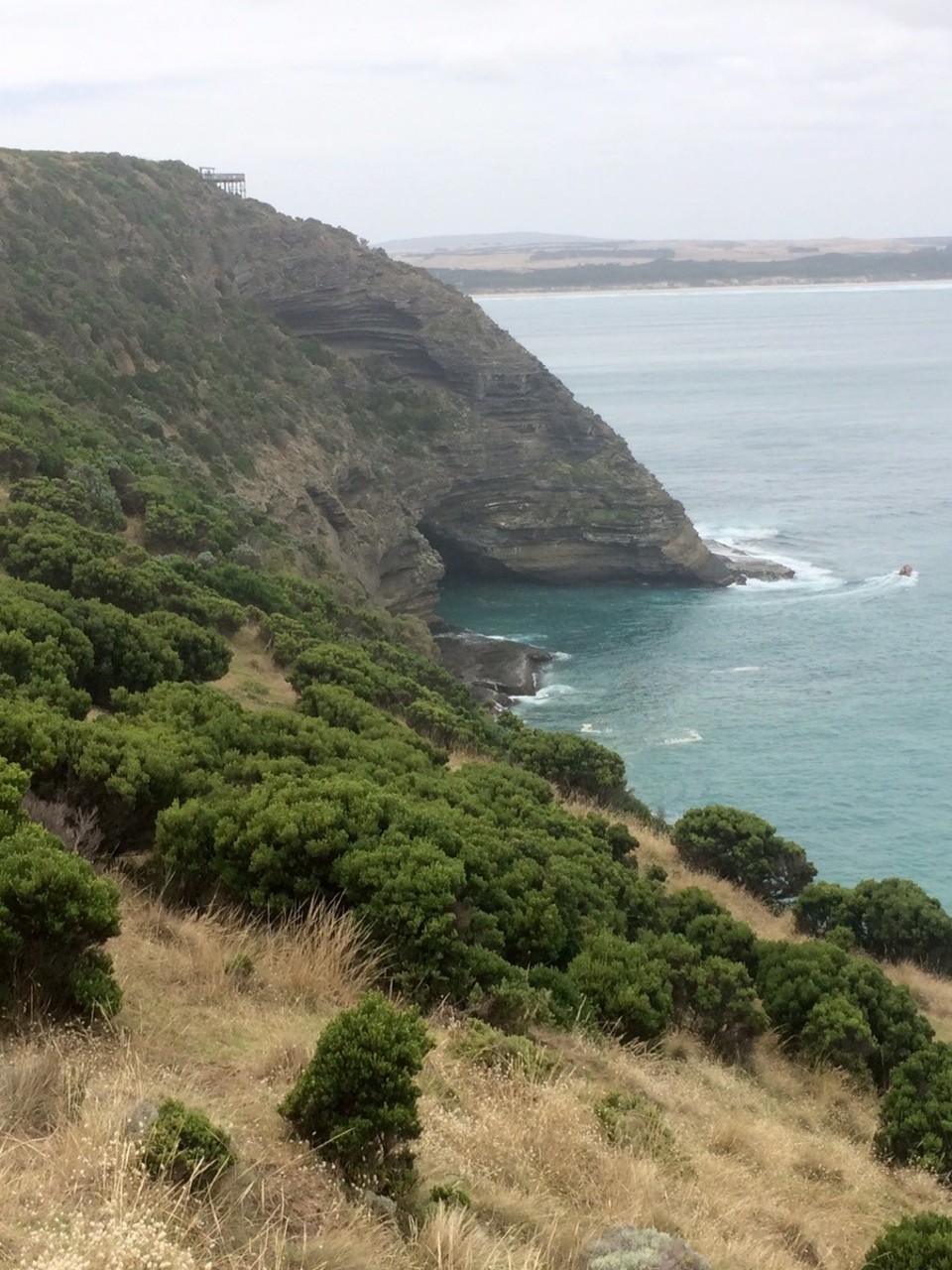 Australien -  - This was the view from out lunch spot. On a hill to the left of the frame about 40-50 kangaroos had a meeting! A horse back rider passed them and the jumped off down the trail and we met several of them on our way! Including a big male that jumped pass us only 2 metres away!!