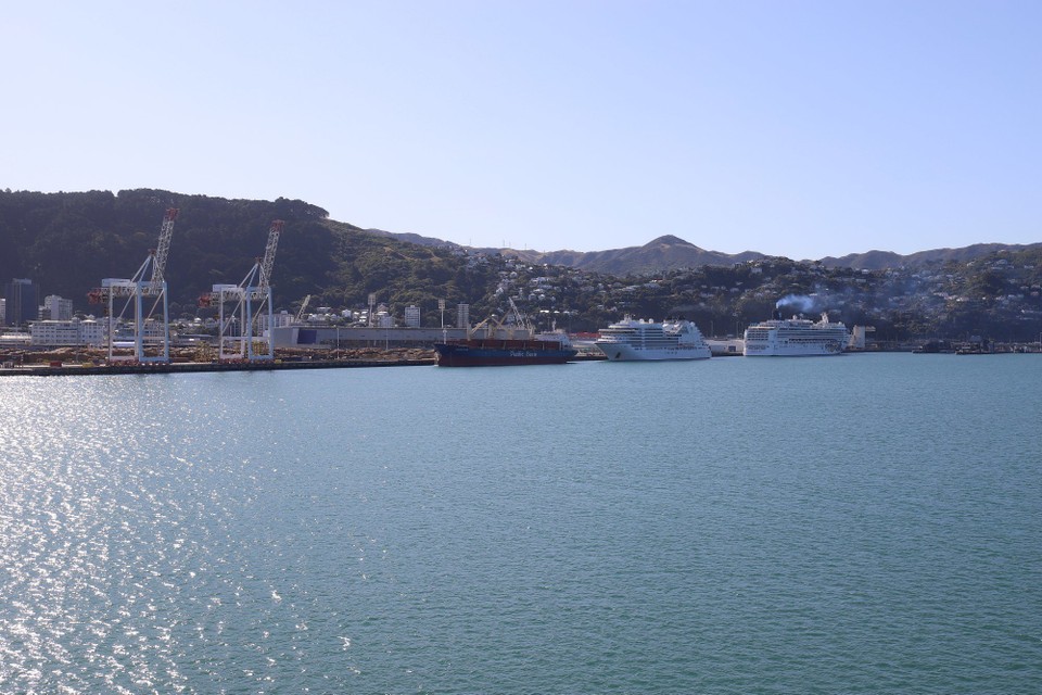 Neuseeland - Wellington - Ankunft im Hafen von Wellington