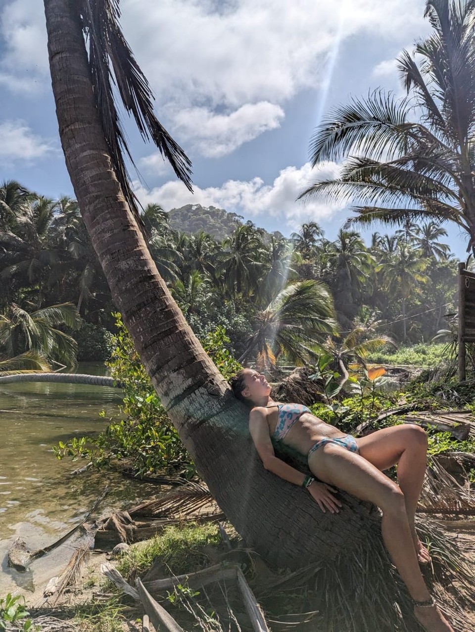 Kolumbien -  - Ziel erreicht: Strand, Meer und viele Palmen 🏝️ 👙 
