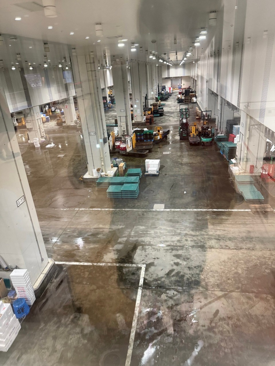 Japan - Chiyoda - Fischmarkt, leider schon alles weg