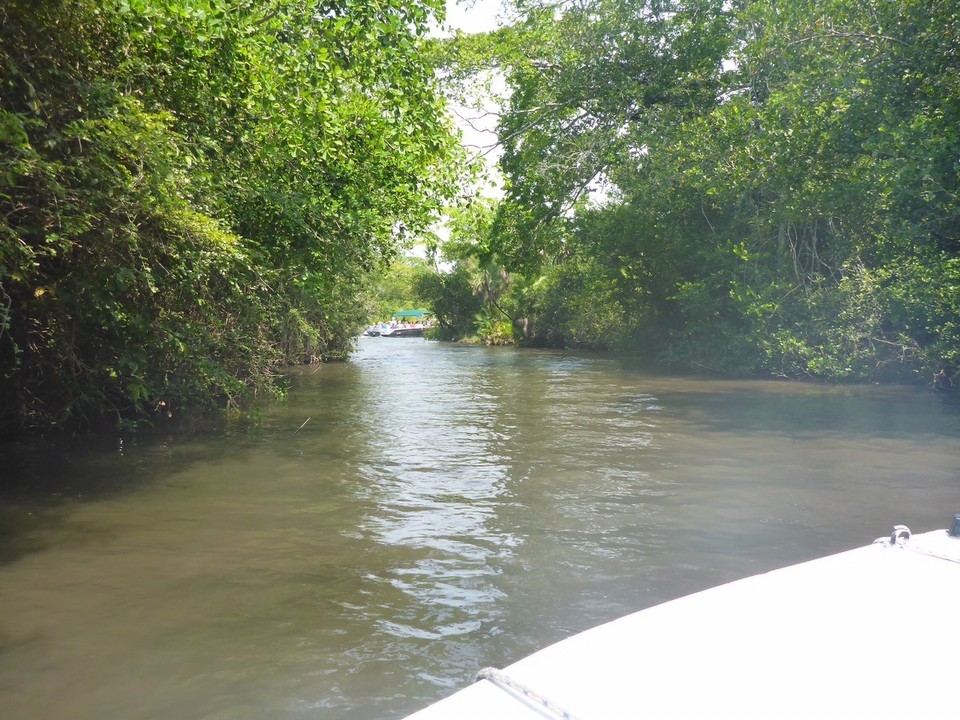  - Belize, Lamanai - 
