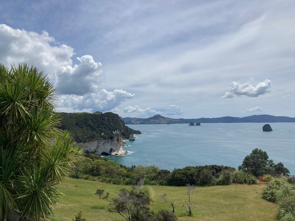 Neuseeland -  - Zum Abschluss der Rundfahrt noch Cathedral Cove von oben, da der Weg zur Zeit aufgrund von Beschädigungen gesperrt ist