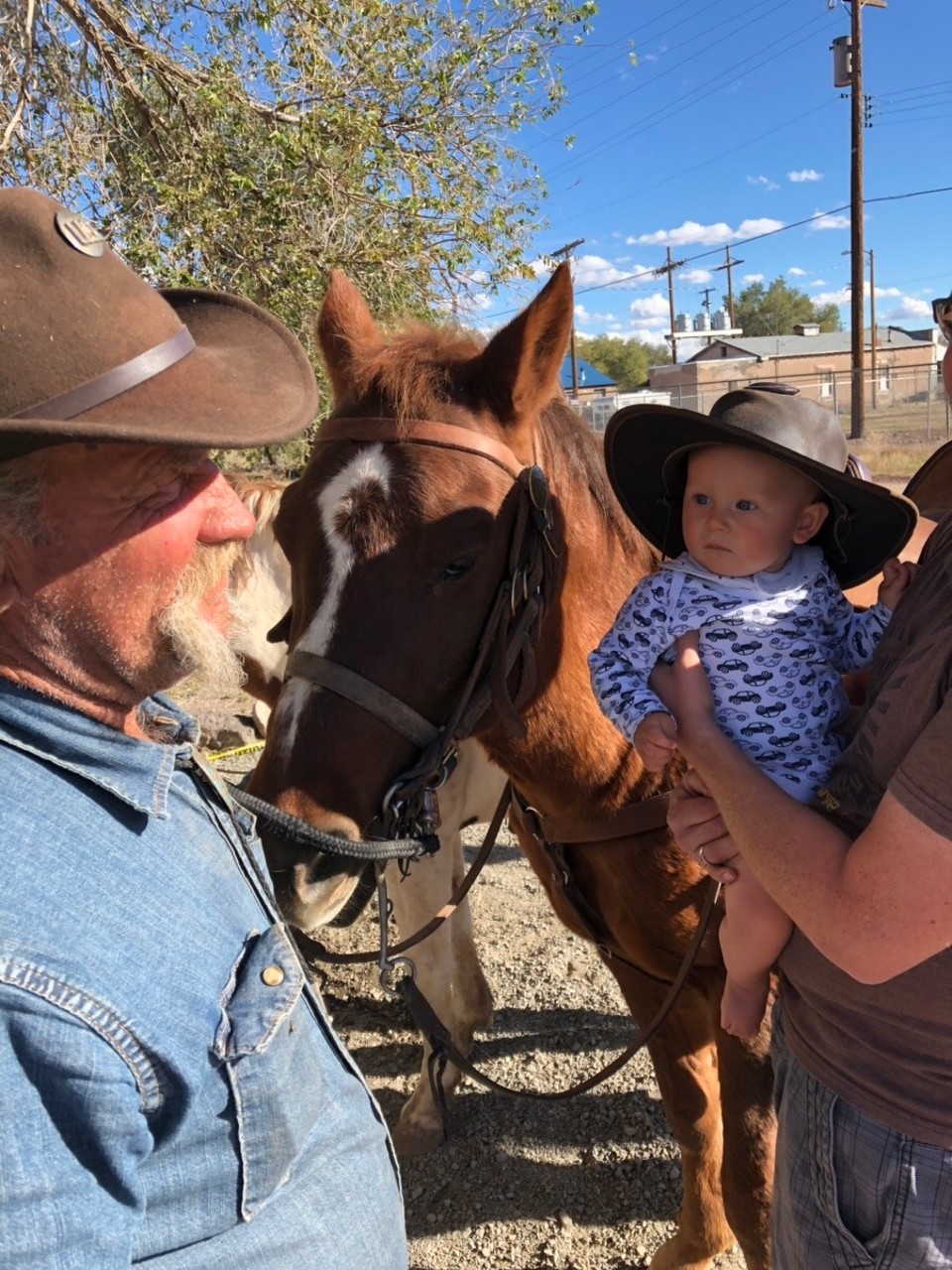 Vereinigte Staaten - Williams - Hey Cowboy! 