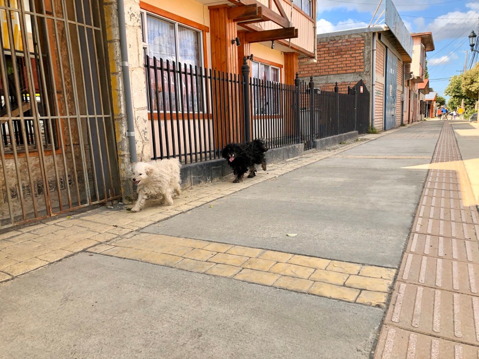 Argentinien - El Calafate - 