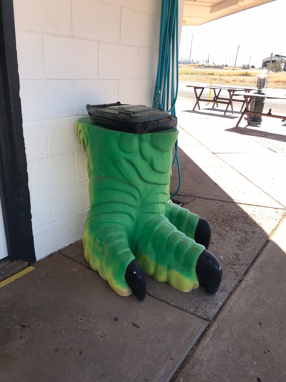 Australia - Winton - Aaah the rare wheelybinasaurus!!