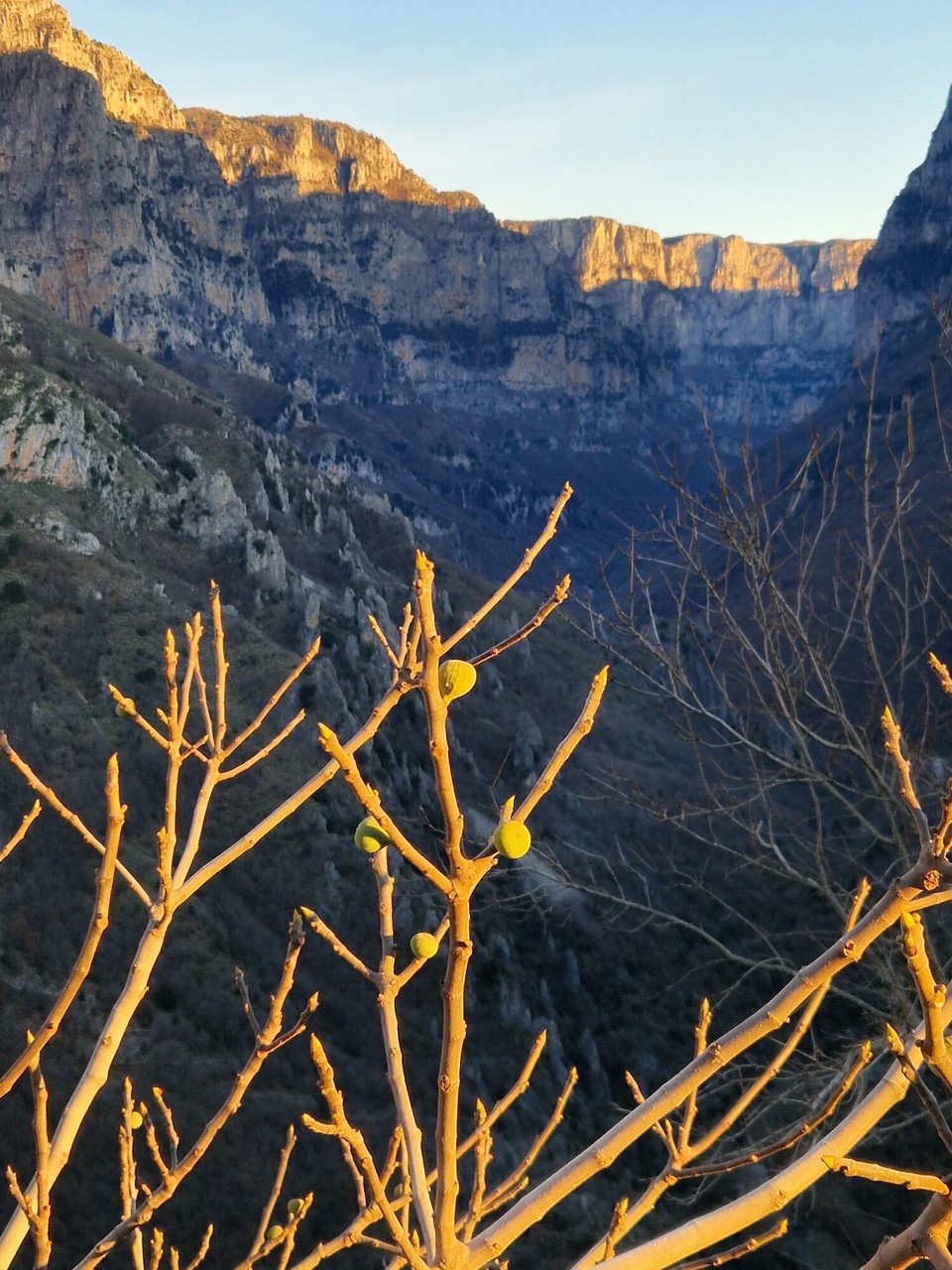 Griechenland - Vikos - 