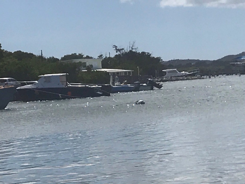 Antigua and Barbuda - Antigua and Barbuda - 