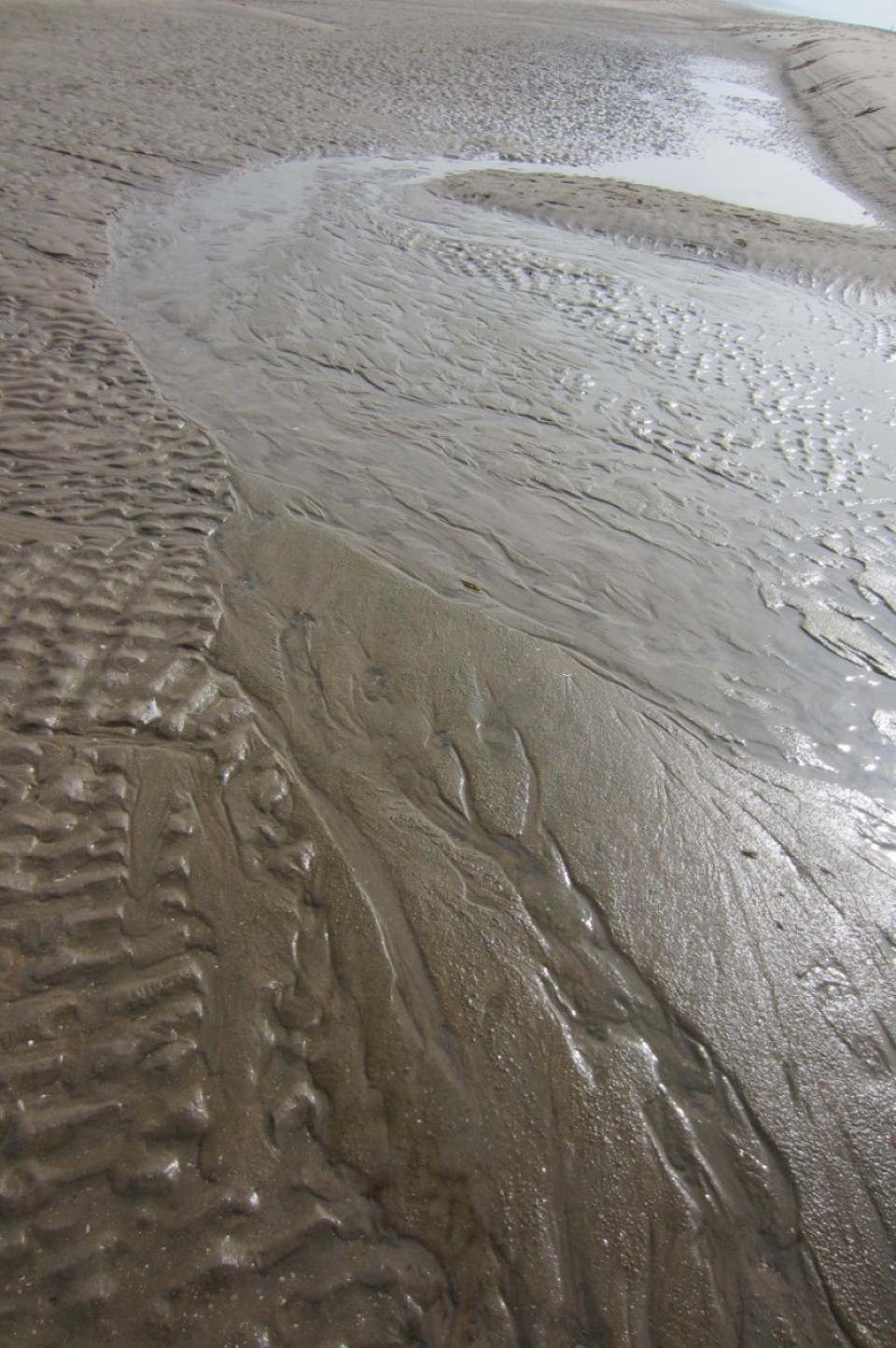 Niederlande - Katwijk aan Zee - ...Spuren im nassen Sand...