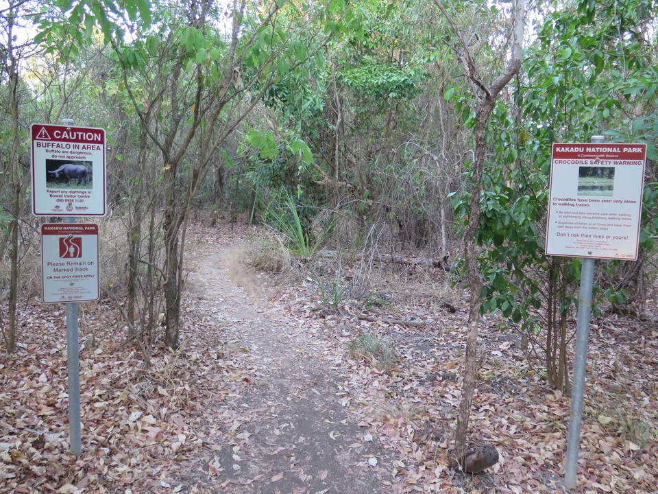 Australia - Kakadu - Rando sous vigilance...