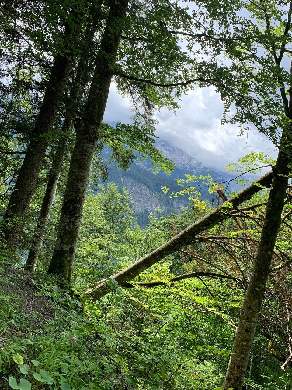 Deutschland - Garmisch-Partenkirchen - 