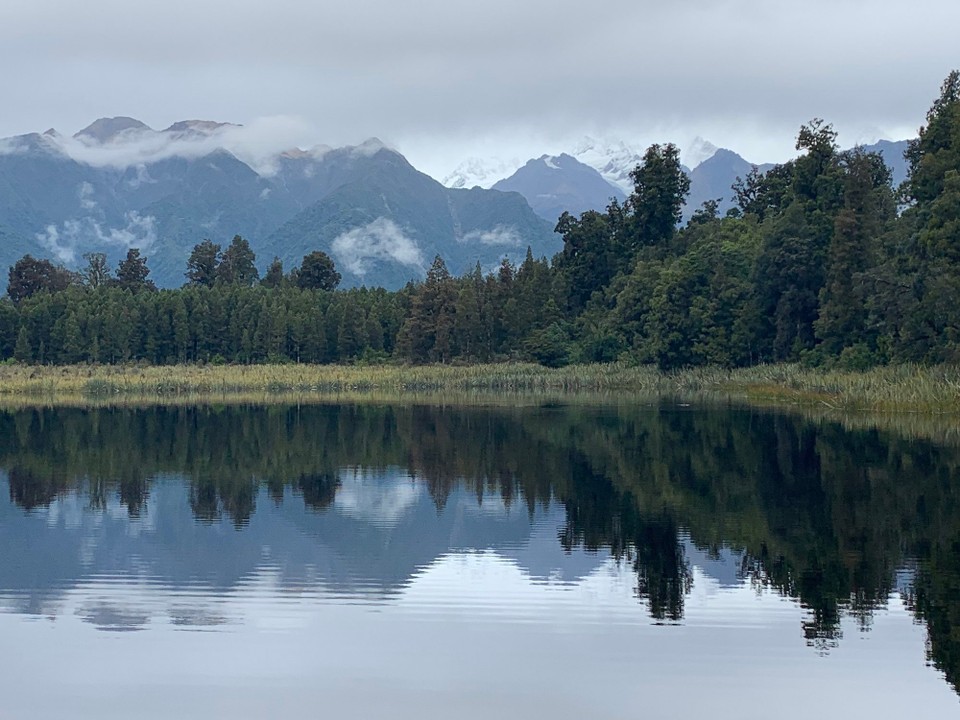 Neuseeland - Fox Glacier - 