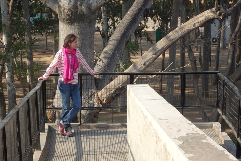 Indien - Chandigarh - 