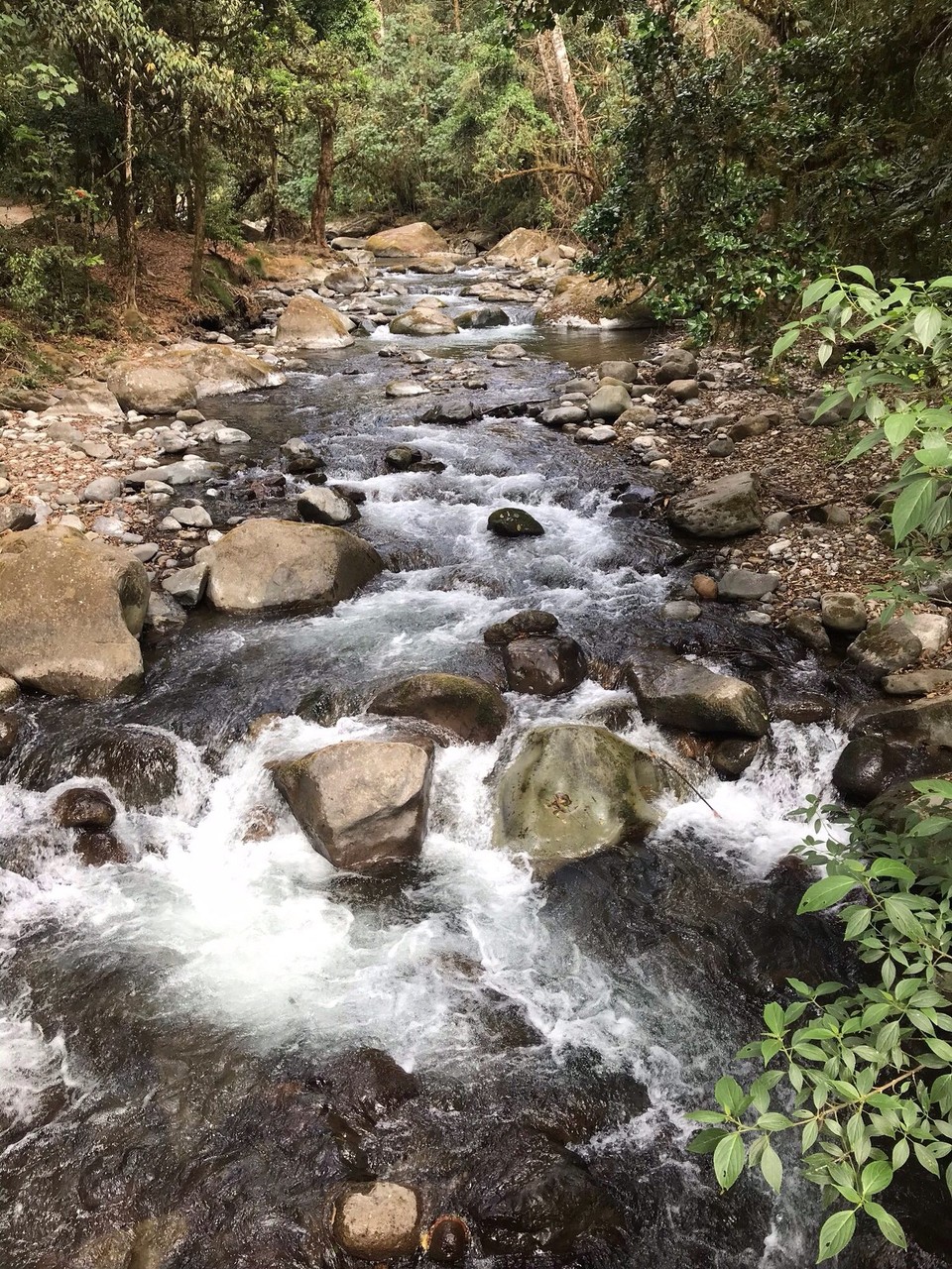 Costa Rica - Aguirre - 