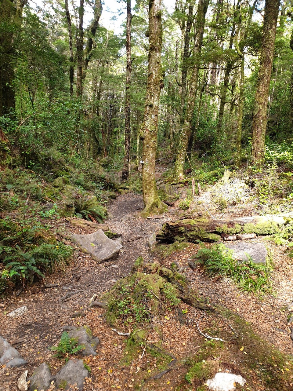 Neuseeland - Mapua - 