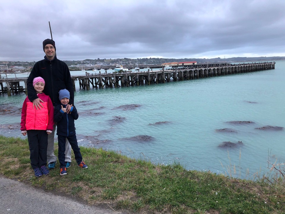 Neuseeland - South Hill - Am Abend sind wir unterwegs zur Oamaru Blue Penguins Colony.
Die Brücke im Hintergrund ist voller Vögel.