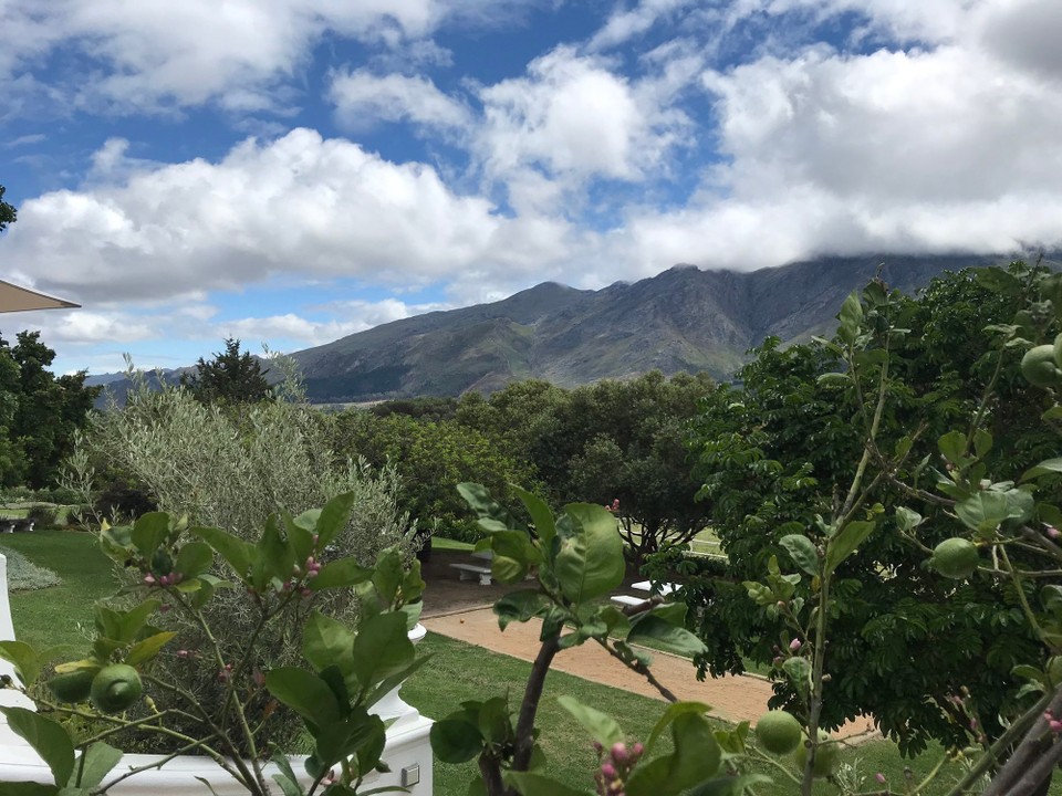Südafrika - Franschhoek - 