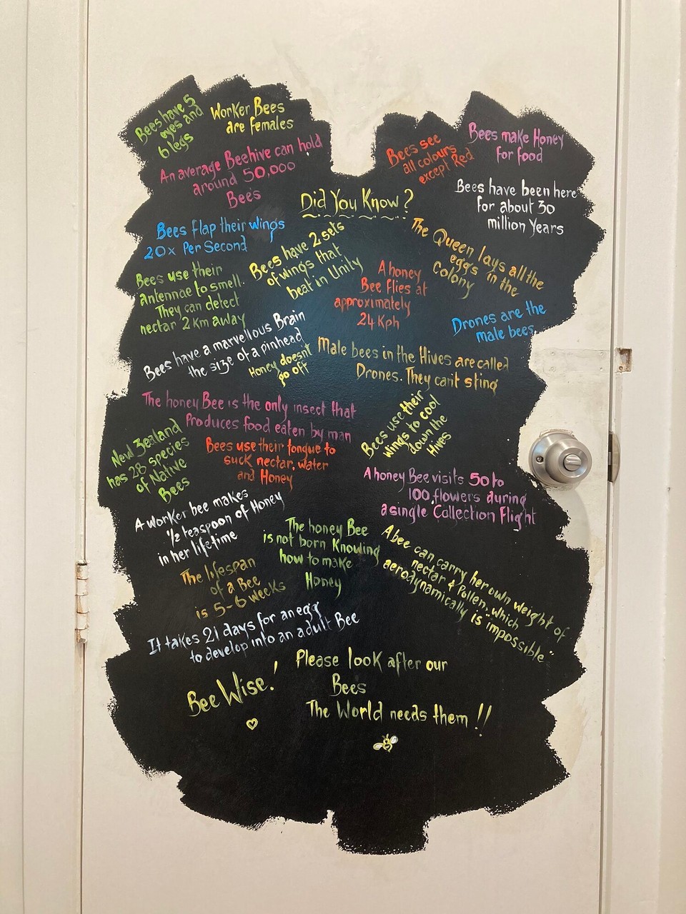 Neuseeland - Taupo - 