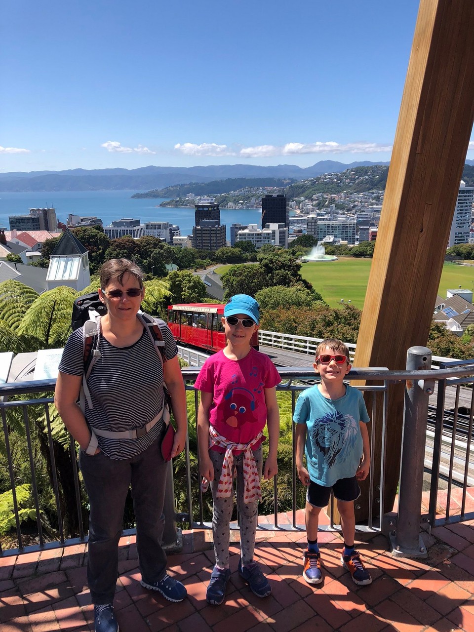 Neuseeland - Wellington - Blick hinunter auf Wellington.
