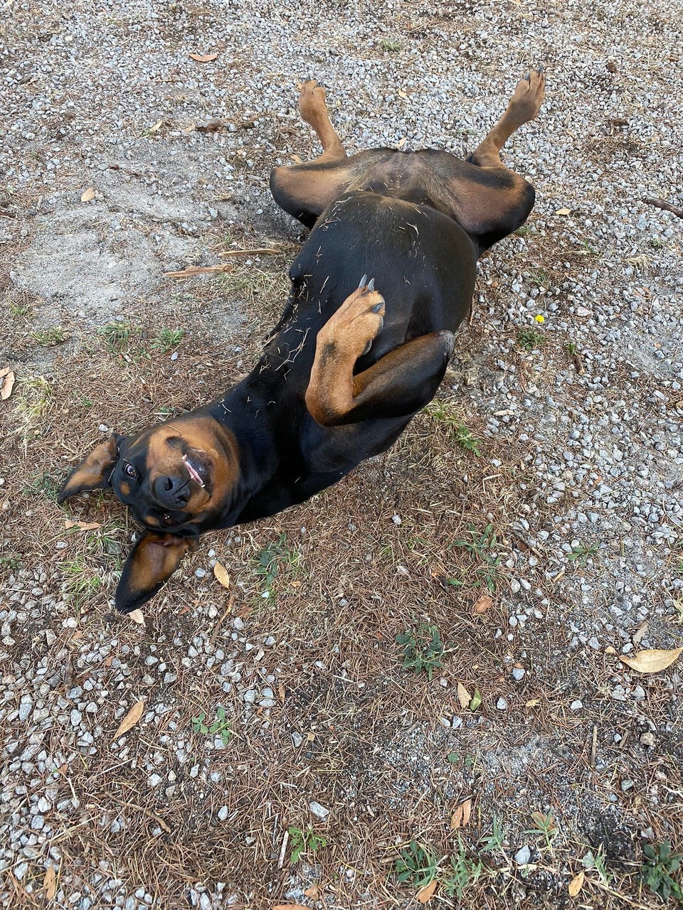 Frankreich - Tourrettes - 