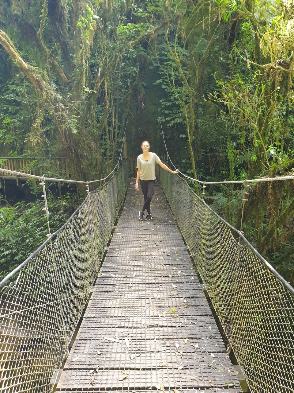 Neuseeland - Waitomo-Distrikt - 