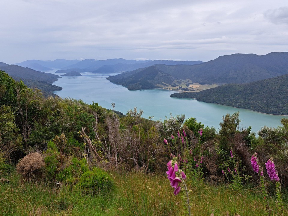 Neuseeland - Portage - 
