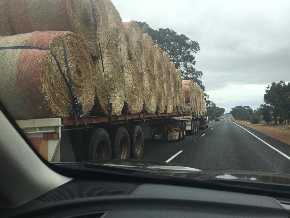 Australien - Rockingham - Marlyse bei einem Überholmanöver eines  Road Trains