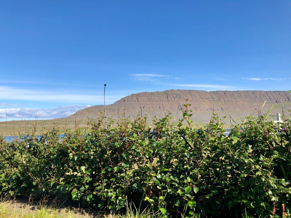 Island - Súðavík - Da drüben werden wir uns gleich wiederfinden... Langsam gewöhnt man sich daran, die Fjorde immer hoch und runter zu fahren... Ist sehr schön🥰