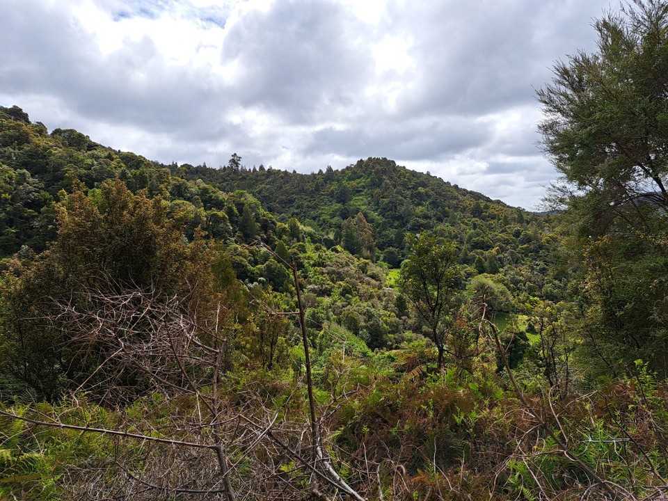 Neuseeland - Kumetewhiwhia - 