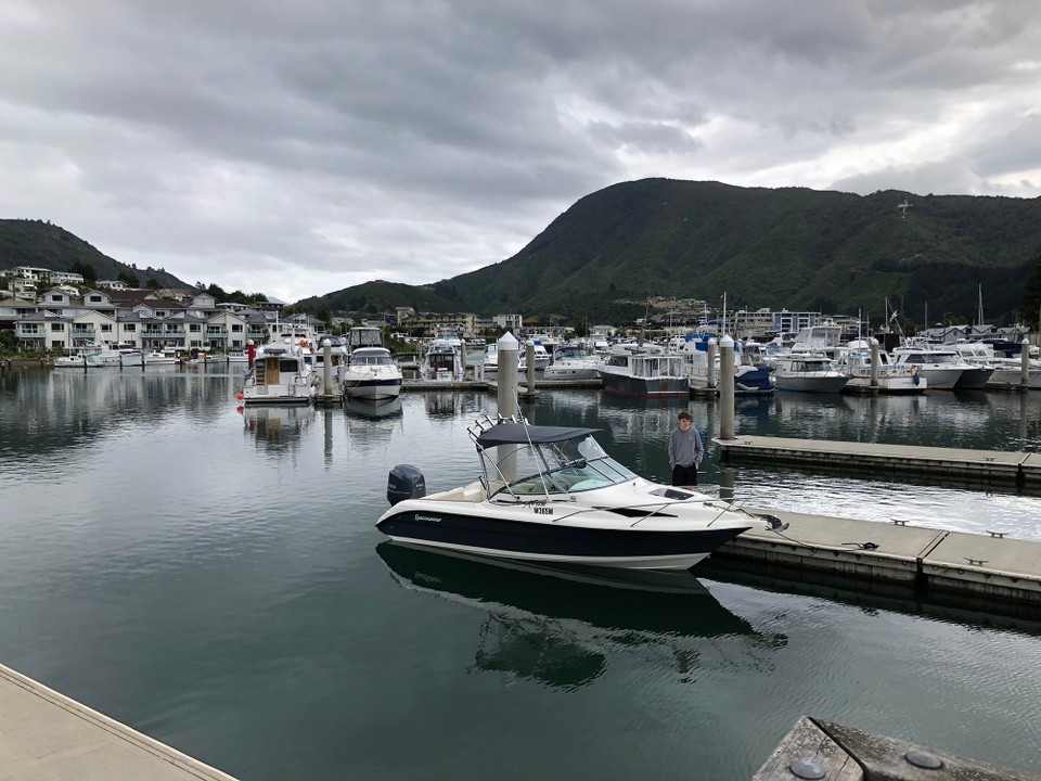 Neuseeland - Picton - Marina von Picton 