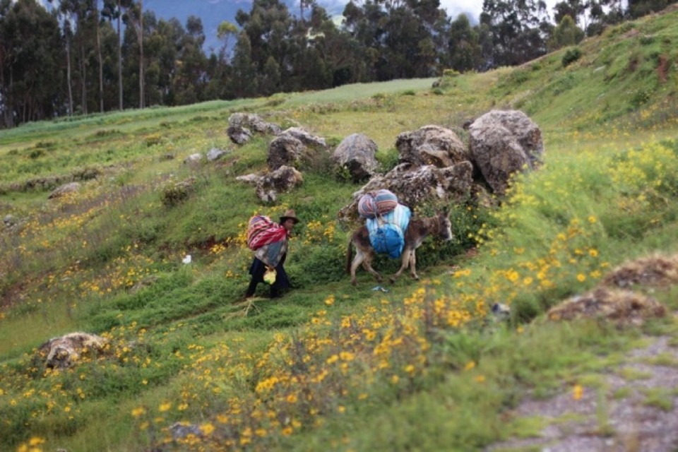 Peru - Moray - 