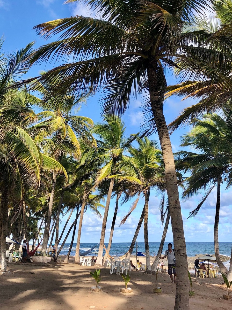 Brasilien - Salvador - 