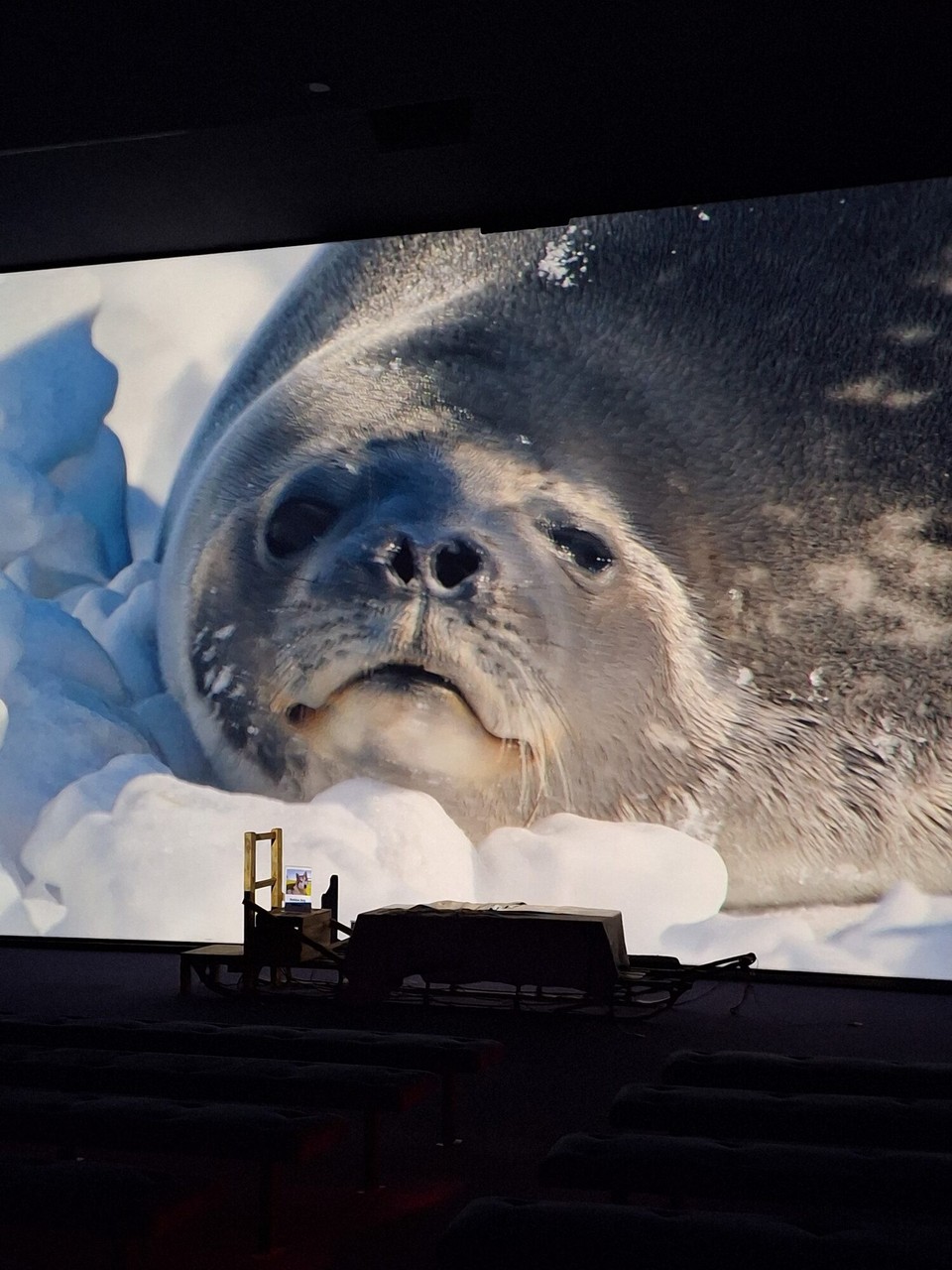 Neuseeland - Christchurch - 