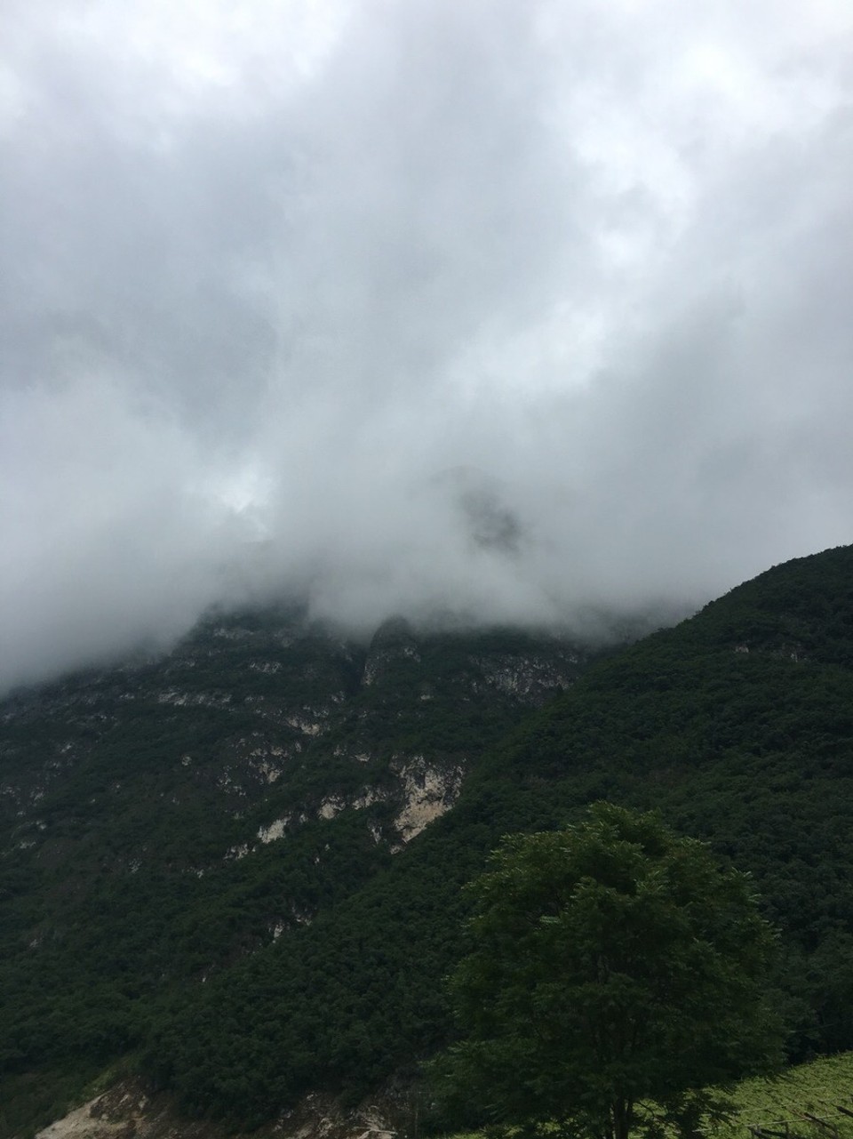 Italien - Faedo (Pfaid) - 