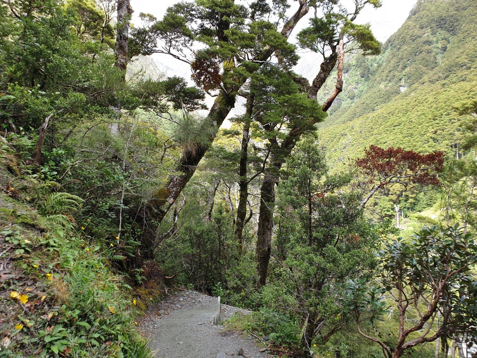 Neuseeland - Wanaka - 