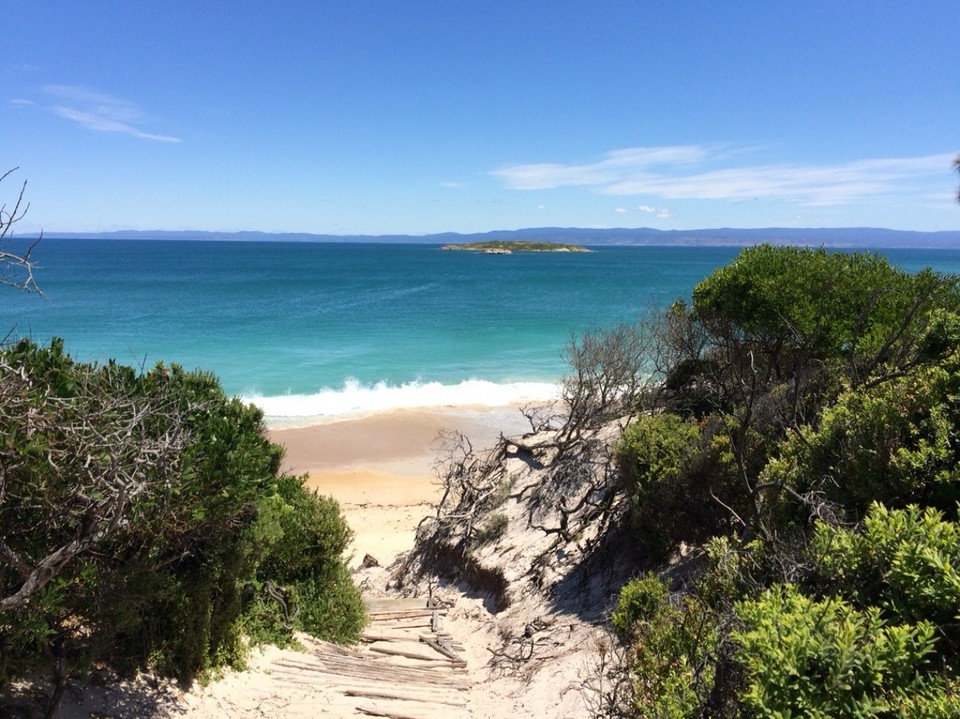 Australien - Swansea - Hazard Beach Great Oyster Bay - nirgendwo sahen wir mehr Muscheln