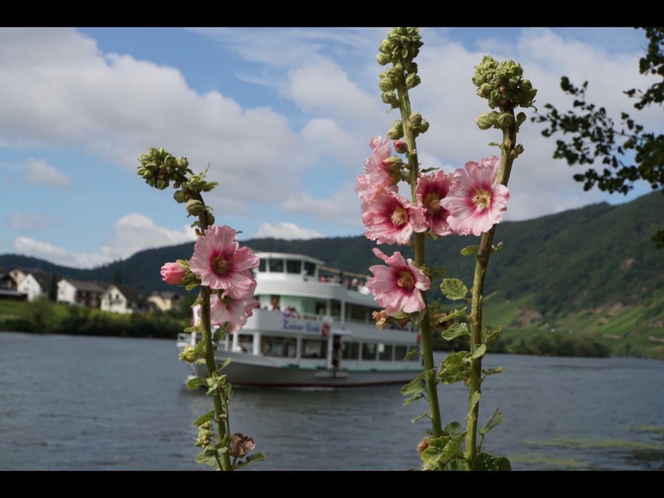 Deutschland - Bernkastel-Kues - Unser „Dampfer“ kommt